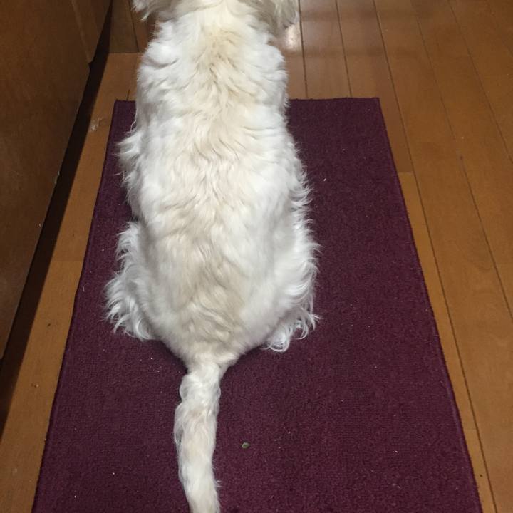 F2569eb1 c644 448f bdca 7c7655f6f55e 1521294832220