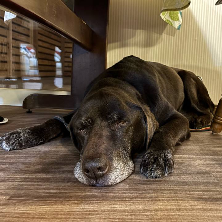 F256f330 a89f 4d0f 896a 056d761ec2e2 1774183530422