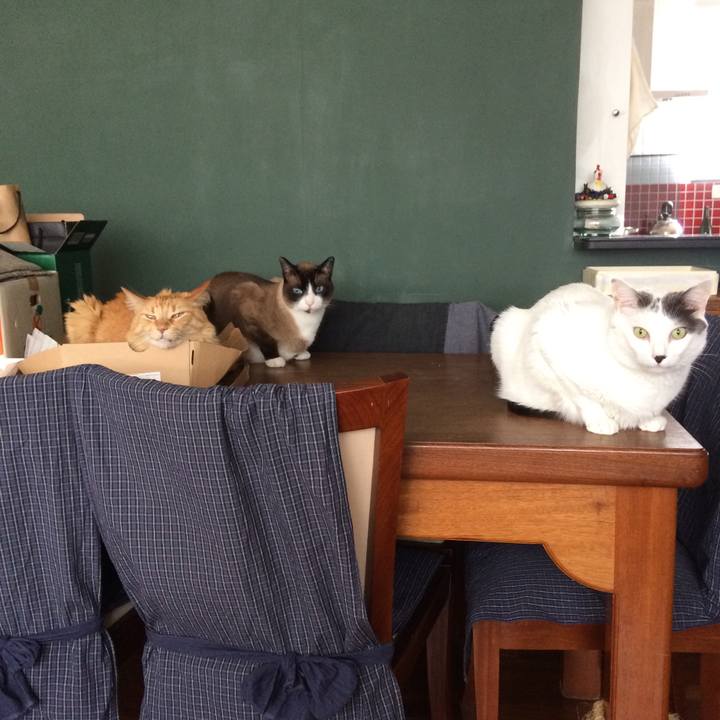 F256fe23 1697 4019 8513 d4a9efe1ac8b 1551385040215