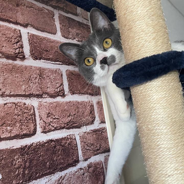 F25717f6 776c 4270 8e6a 30bae42e4f0b 1623545749966