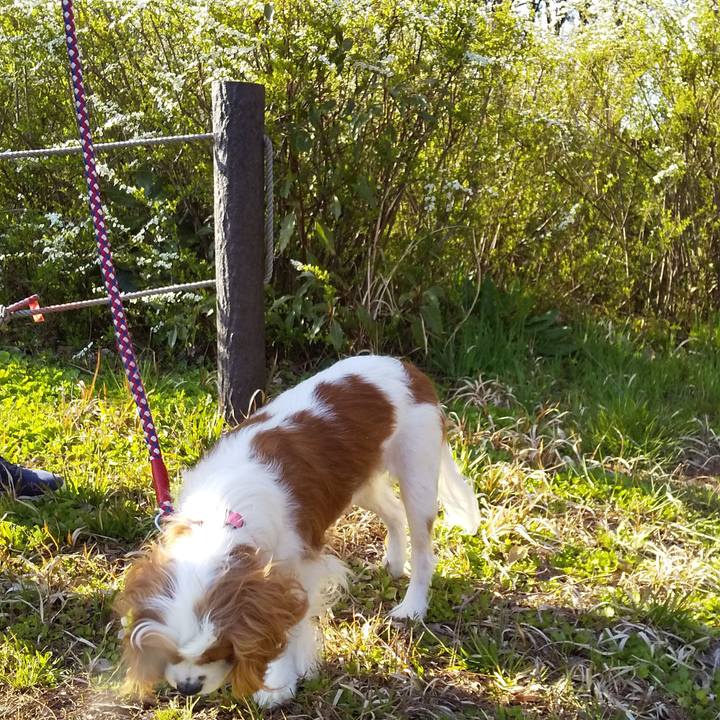 F257423e 9b29 4a65 97d4 7c8b6130d225 1585127471588