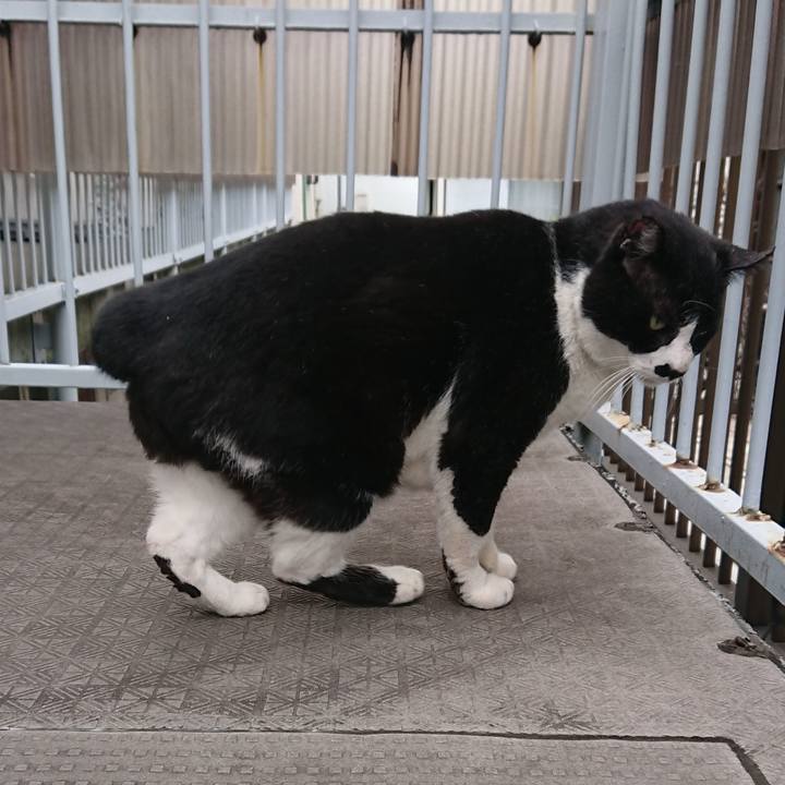 F2574e3c cc66 454b a1db 84b515ec0159 1585363390139