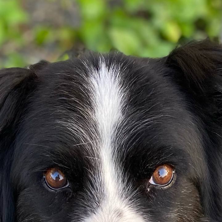 F2576f88 9c00 4f40 8f52 235a4bde7c29 1684661976032