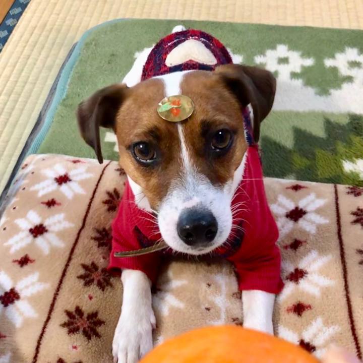 F257a33f 95de 48ae 908f 430cac34c23a 1549093615802