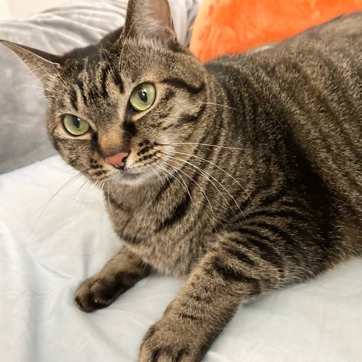 F257d053 fa08 4ddf 8589 31a0bc889183 1641699384280