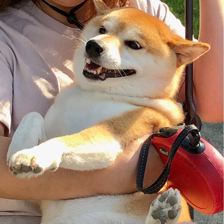 F257e1ec b9cc 4bf7 b793 a984bc4789a7 1564796276599