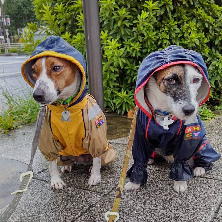 F258374b 9f45 43ad bb68 02ca3cdb1f45 1628979157360