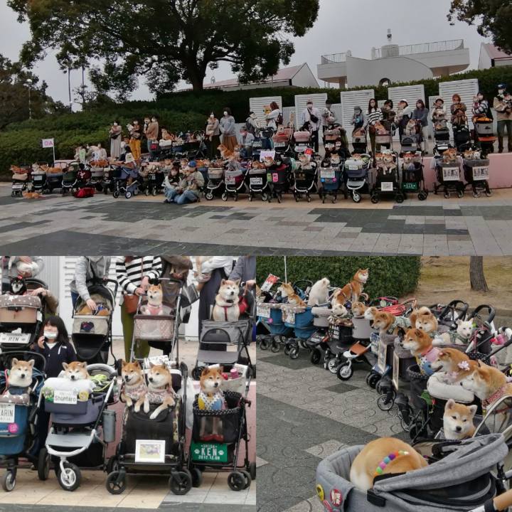 F258844e 7b58 4b92 98d4 46d256b4dcc3 1678854503374