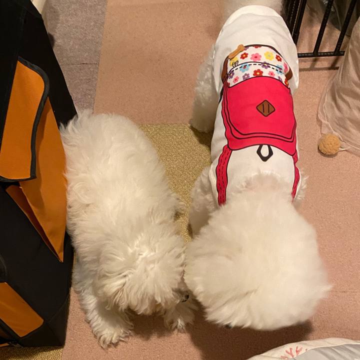 F258871c 4fbb 4381 a258 b72e4c76da32 1747391651874