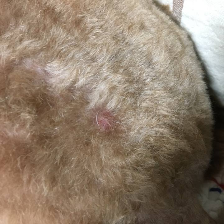 F258a22c 0312 4b57 9665 9b5ccca603f2 1527406602206