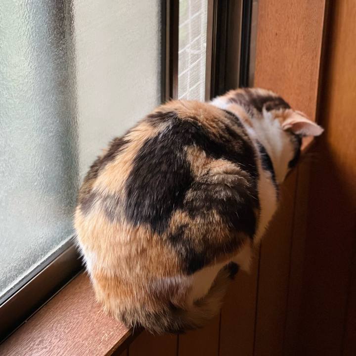 F258aabc 2ae0 49dc adaf f799cecc1ea7 1651457024346