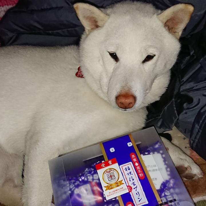 F258bff3 8dd6 4b29 8374 05c1aaf571c2 1512556888932