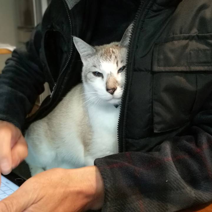 F258e1fb de34 4b1a bd02 ec4ae2db3a4f 1546851523368