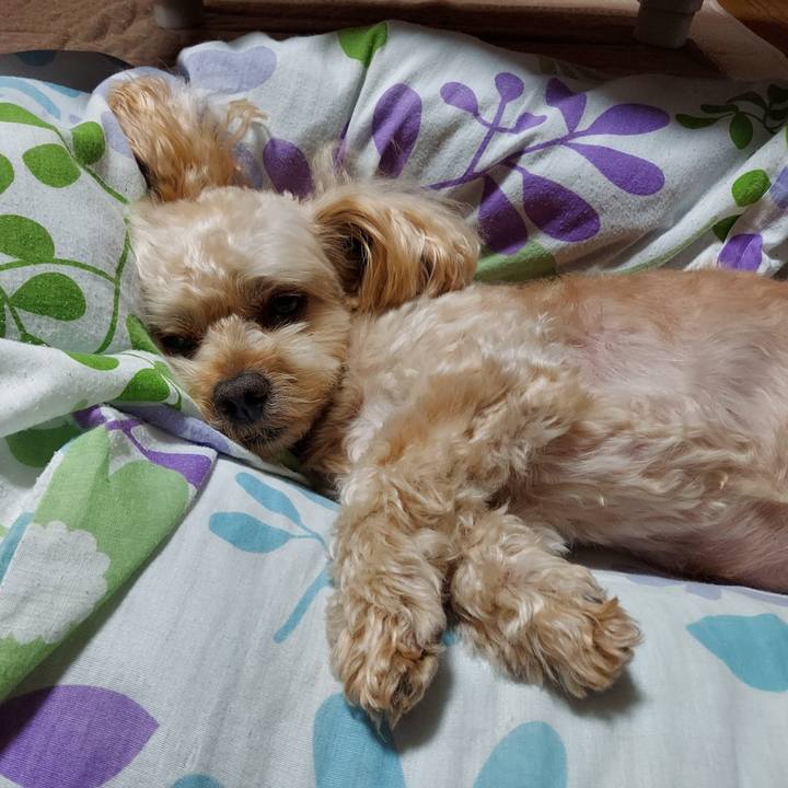 F258e958 ad79 4d66 9513 bea9e615b3b7 1628427584033