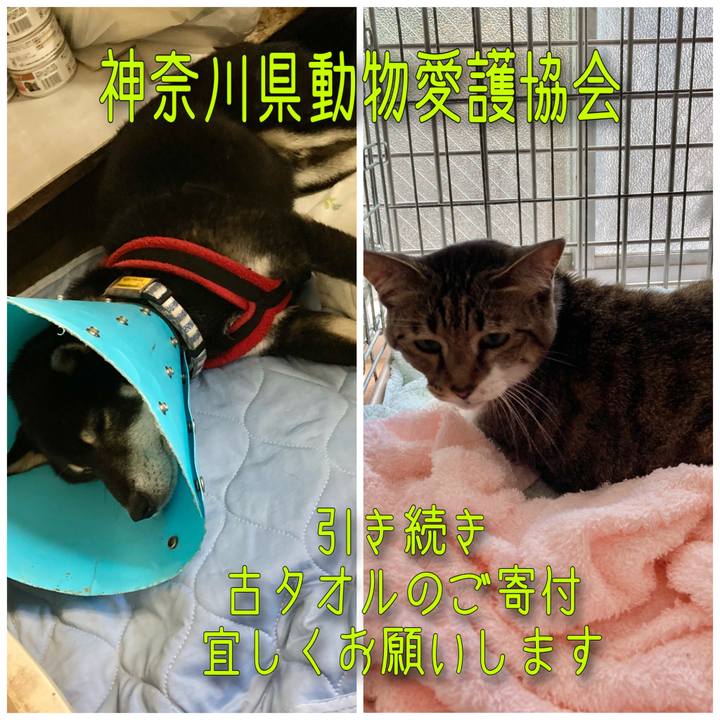 F258f825 f337 479a 89bc 8e4119d6e7d0 1627285180617