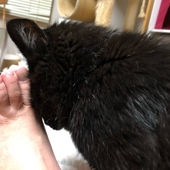 F25904fa ac3d 404e 8240 2e828bef9fbb 1600864455992