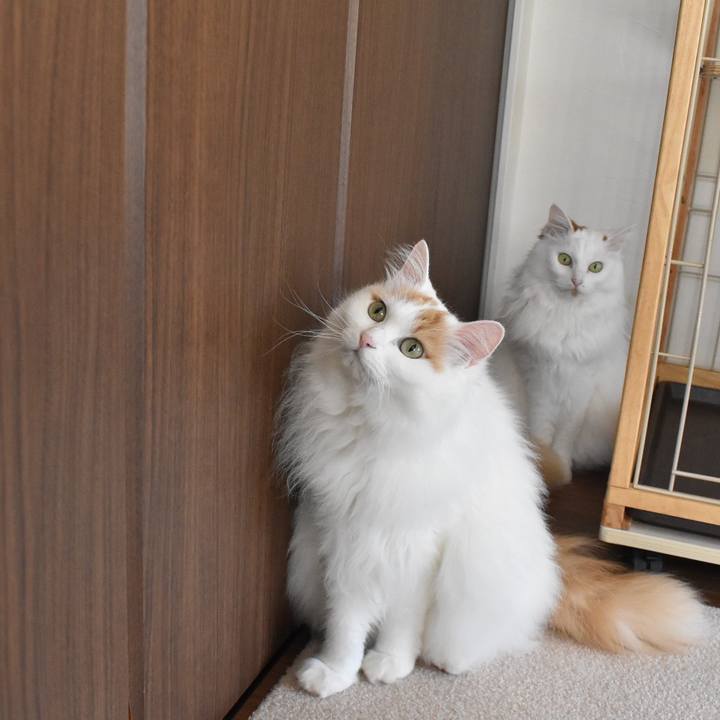 F2594bb8 e329 489b ba99 af9aebc76174 1763860917255