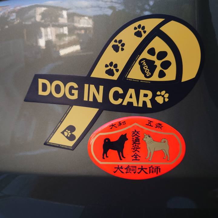 F2594e1a c131 45be a490 c83b69ed28ac 1767259021890