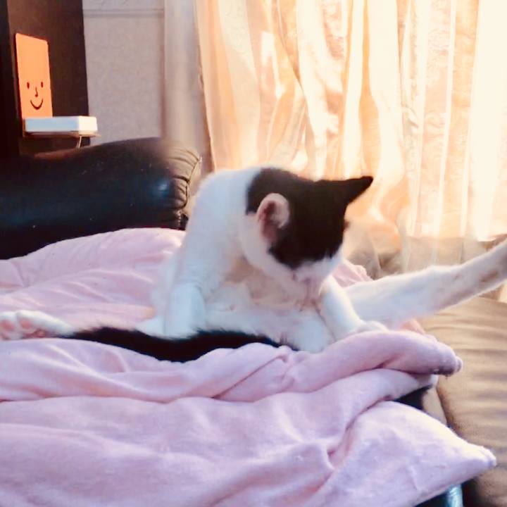 F259964b e082 4139 83e9 da8aa84a996e 1535817125173