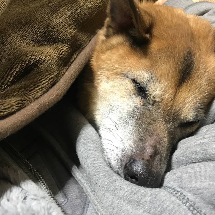 F259af63 eced 43c5 9ba0 0b6511b18feb 1546006587613