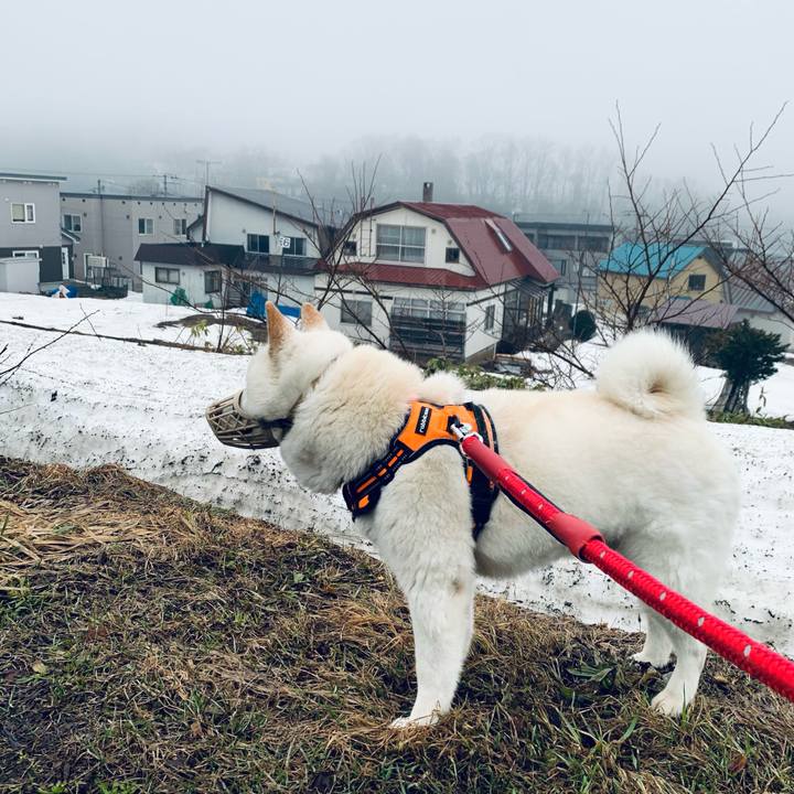 F259b8ef 5a72 4ba7 91a5 70ffec00b2cc 1649538832554