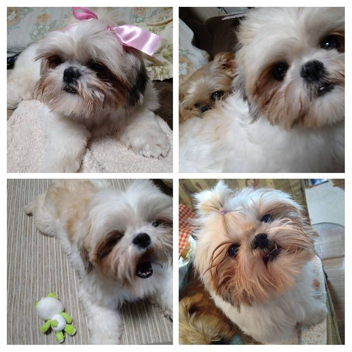 F259d58b 7e8c 432a abe8 291c9b209723 1608379841798