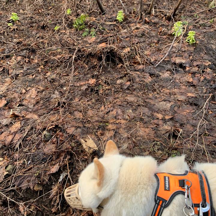 F25a0408 1a7e 410c b485 6aa13854e165 1618349256099