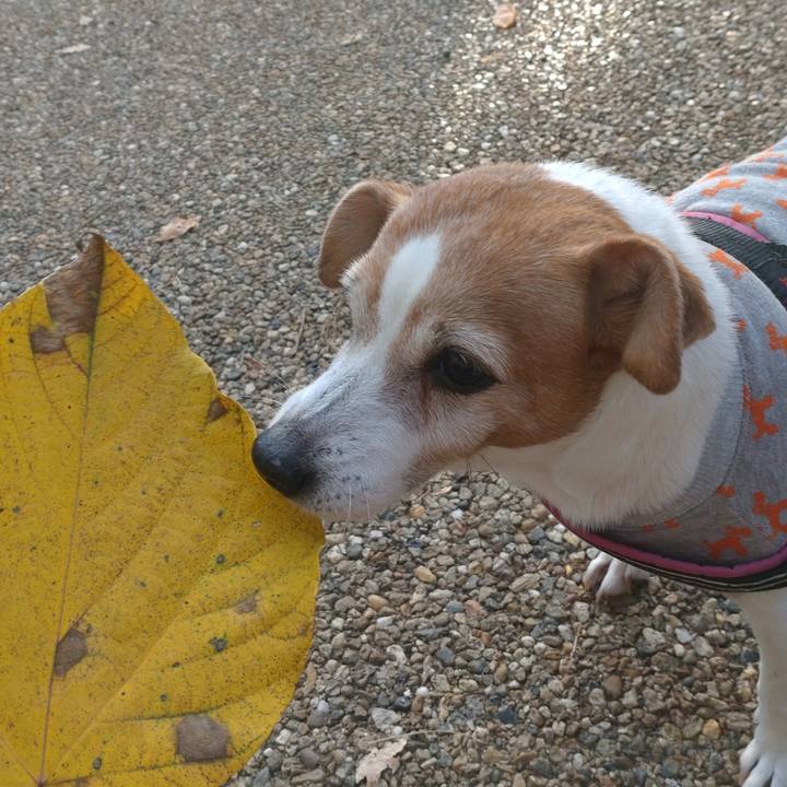 F25a5e01 4925 4786 ad0e 943cf81cf389 1762820691979