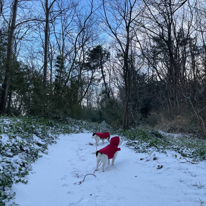 F25a8f22 724a 4a5a a251 2c859884bb8b 1676421064204