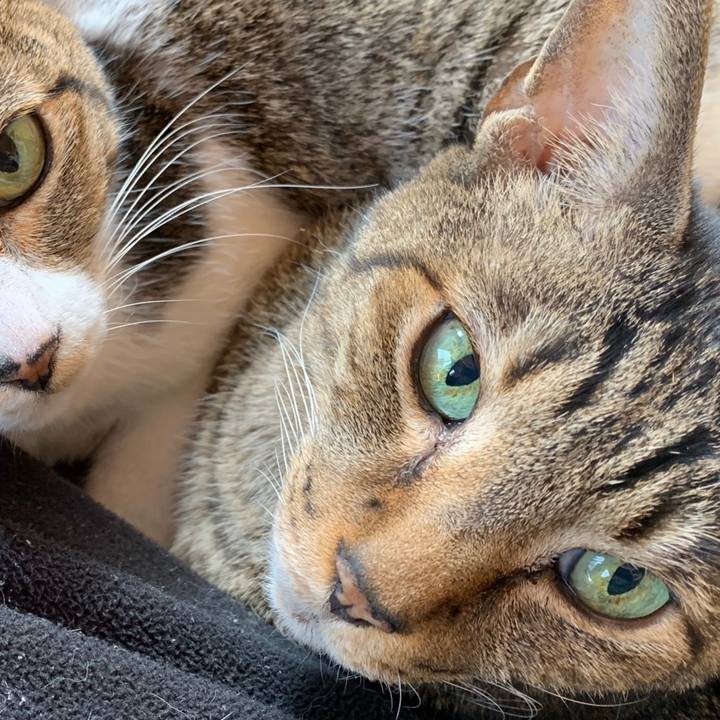 F25ab2ca c7d8 474c 8160 b8a4dff2a9d8 1580953001249