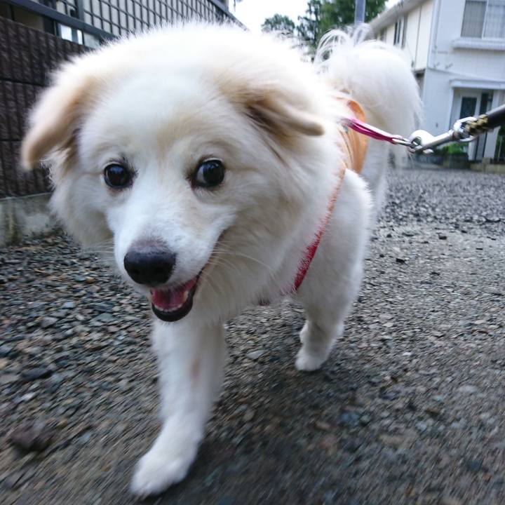 F25ac037 6675 4001 a168 702c2dfee60a 1532814282983