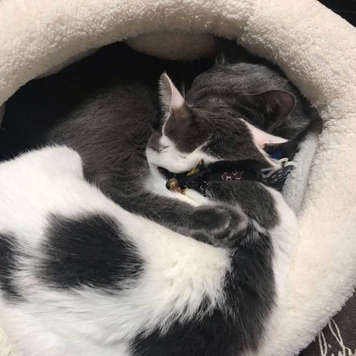 F25ac101 03a9 47dc 957e e54eb0c6fc5e 1544533105960