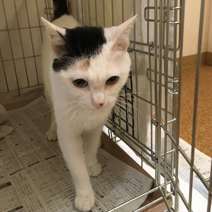 F25b140a 4f37 43f7 8a0f f912b3e0de8c 1560935749601