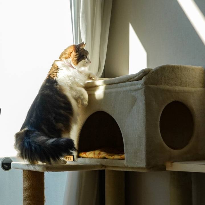 F25b1470 9f56 4f51 8a21 66c72bac13d7 1732372831648