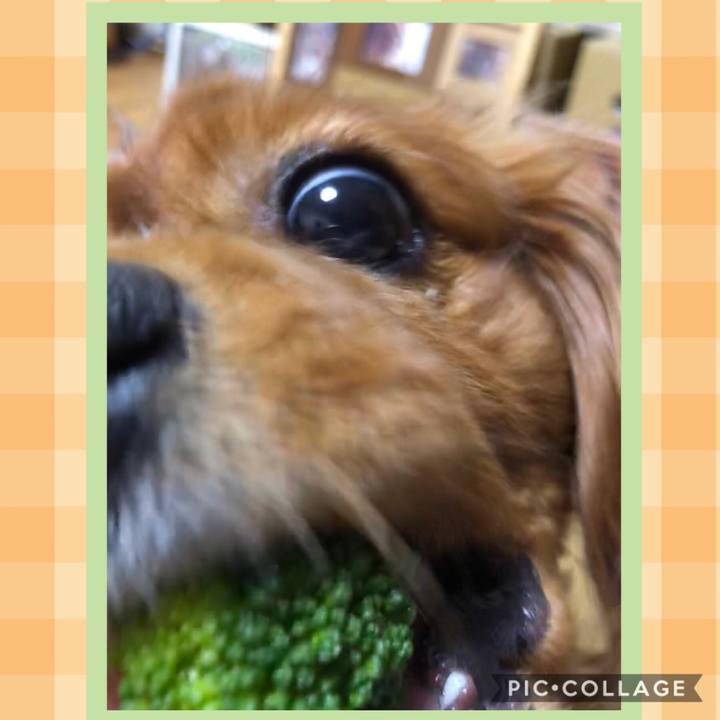 F25b174c d5f6 4092 b4a1 b8438ac9ff70 1570718135731