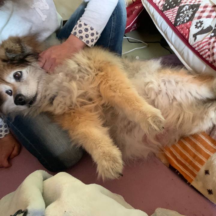 F25b56fe 0379 40ec b6ff d2963fe69429 1609887825431