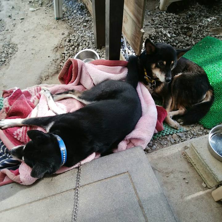 F25b63d8 7afc 4dd5 b198 32efa432a776 1541308296809