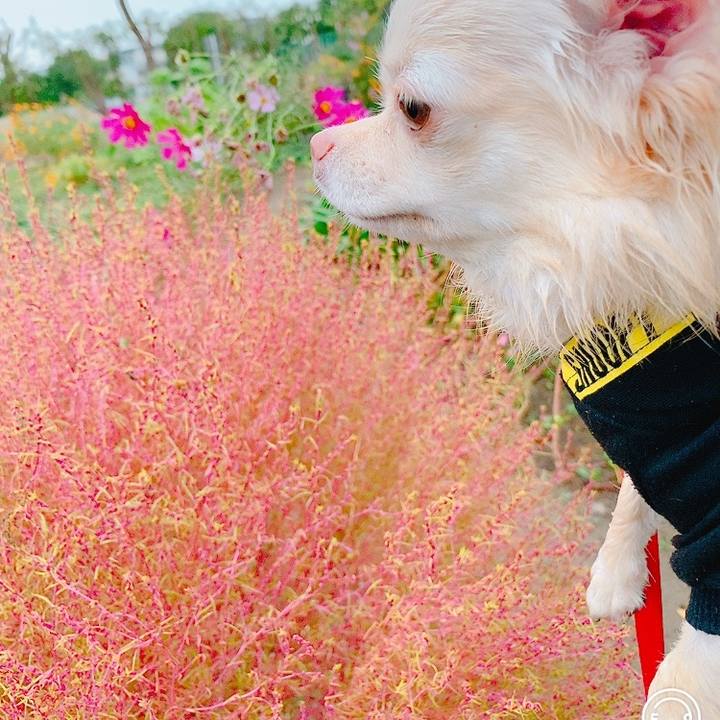 F25b6e71 ad0f 4631 a9c8 339aff80db53 1634038011732