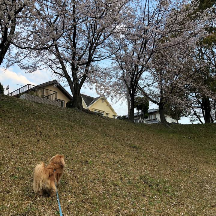 F25bbecd f260 49e0 a023 a69a636cfb7d 1555364793663