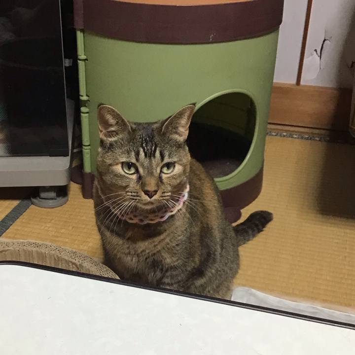 F25bbfd6 204c 4a2d 9e8c 013c975b2273 1698062020157