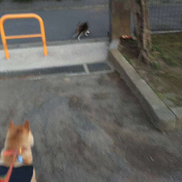 F25bc160 7f4b 4a83 a1d6 5abca83e9367 1613215197468