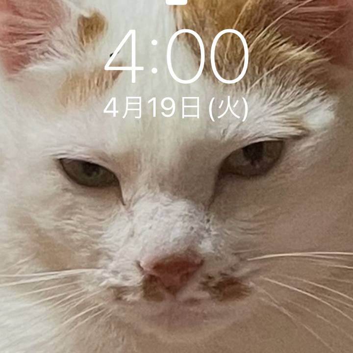 F25be73d 0790 480e a230 dc613b62e4fa 1650309766340