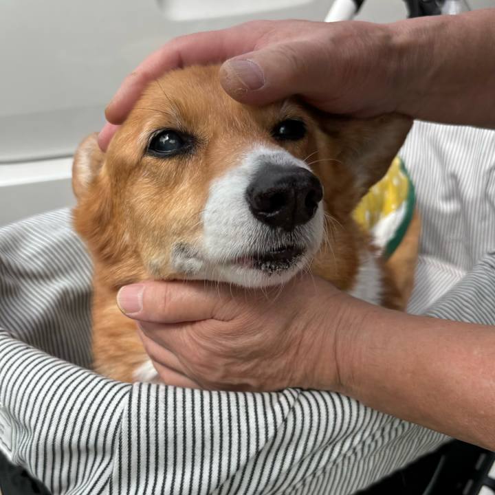 F25be8a2 a519 4e1b a3d4 877296487930 1743043698990