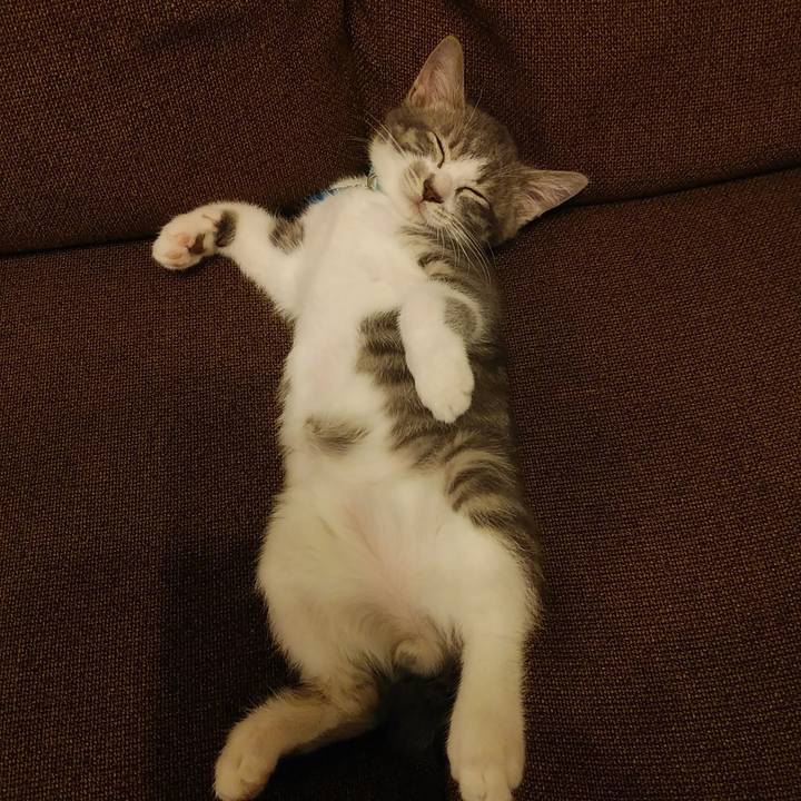 F25c10fa 446a 4ced a00e 7d9d4064335e 1562839933478