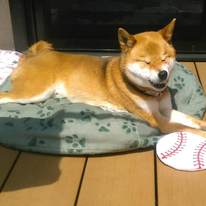 F25c2a6d a48b 4842 bbe4 17893771fd1a 1522725824888