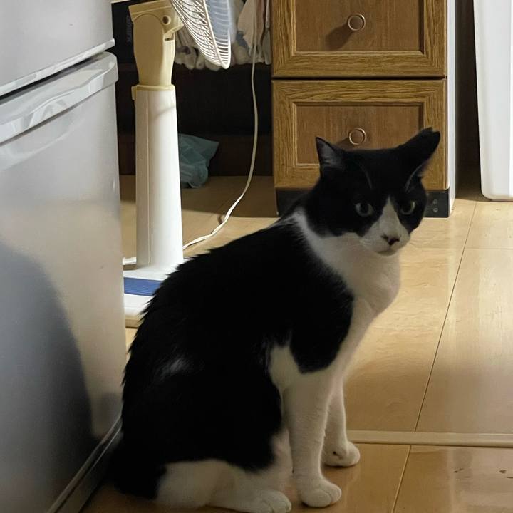 F25c2ec4 0542 442b bdb3 931d1ce03780 1726390054976