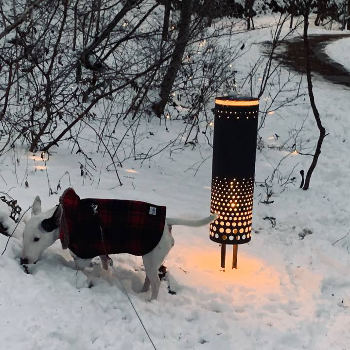 F25c45ed a35a 45ba 867f e7df604238d6 1548851770274