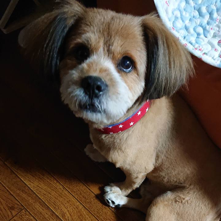 F25c5801 0b04 49a1 ab37 7b5123aef7aa 1566477938262