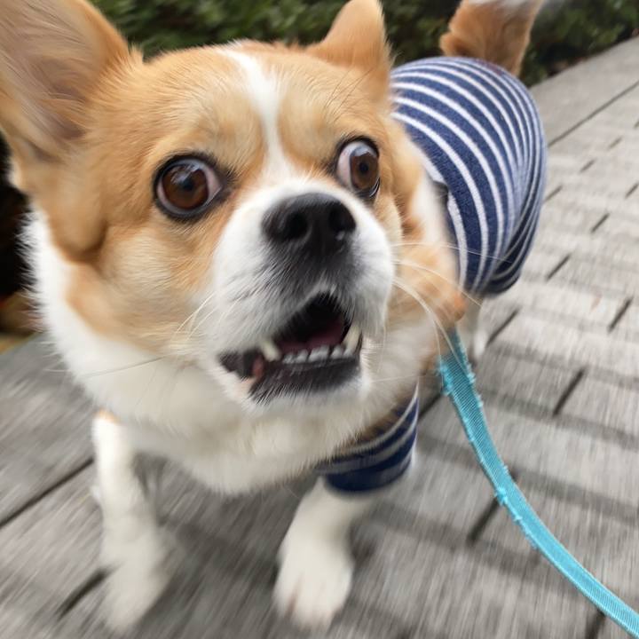 F25c6318 da4f 43c9 a1fa cf1a16316510 1669881708161