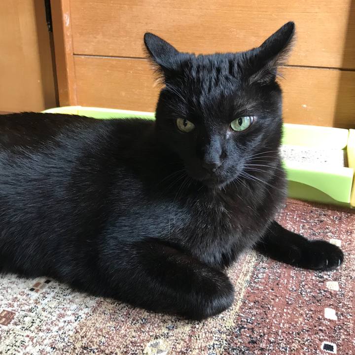 F25c76a0 ee9a 4f26 be79 ea7acb85ce9e 1524100847023